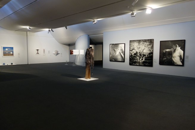 Installation photograph of the exhibition 'Cutting edge-21st-century photography' at MGA